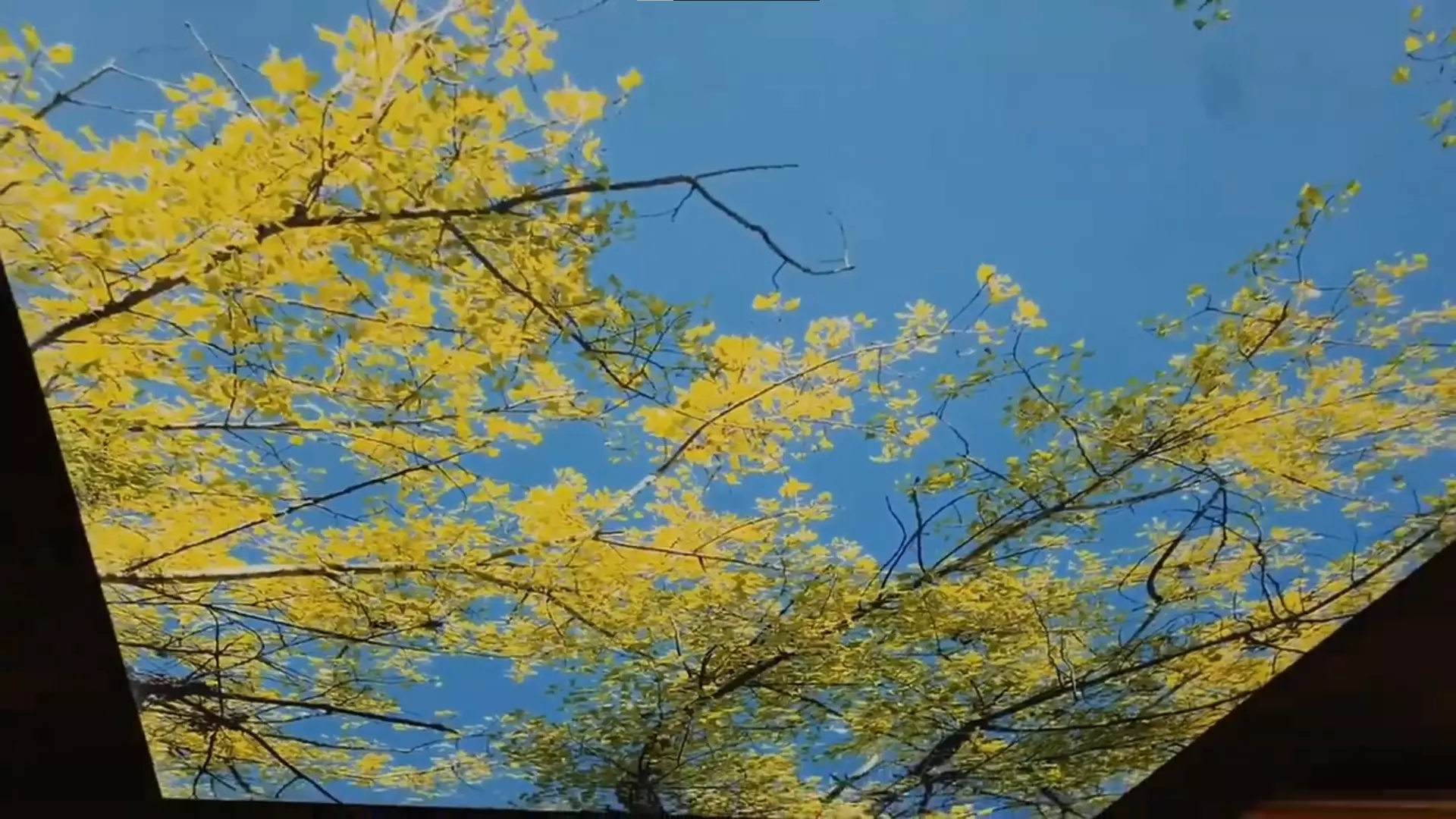 Киров, Советская, 49а, фото 2