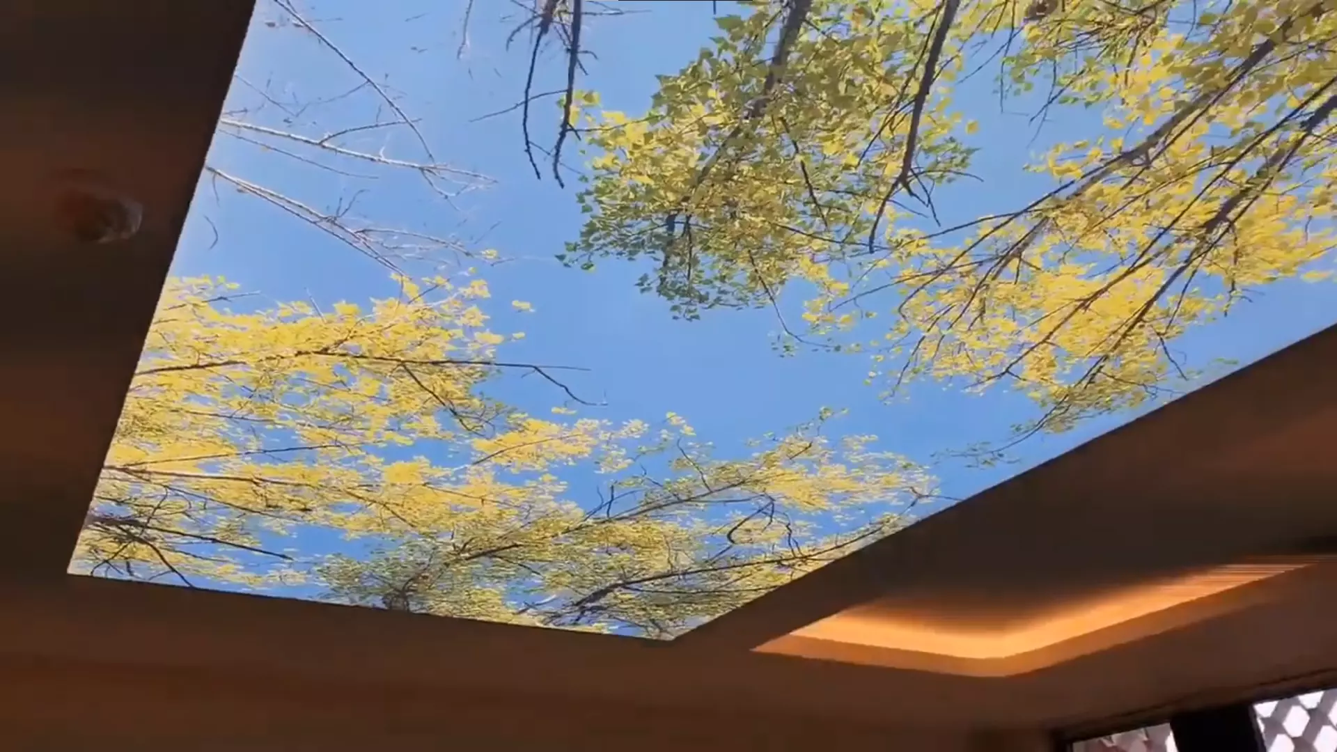 Киров, Советская, 49а, фото 3